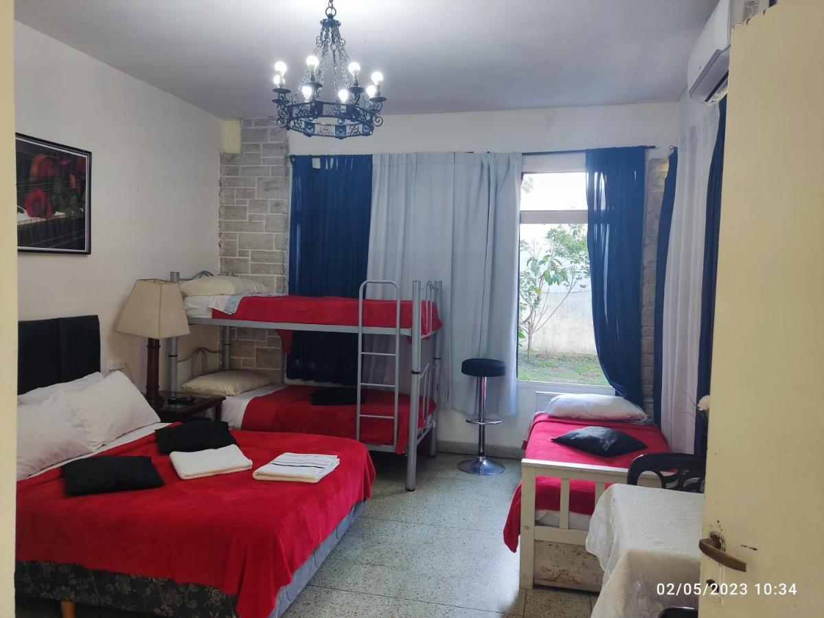 Hostel Olivos Olivos